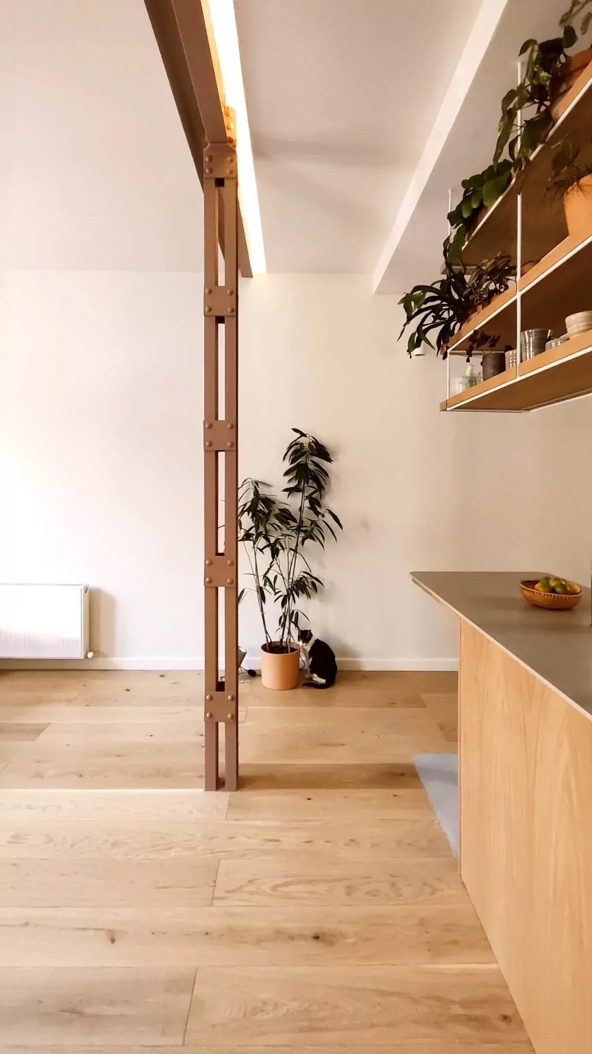 Iwastudio - Proyectos - 01