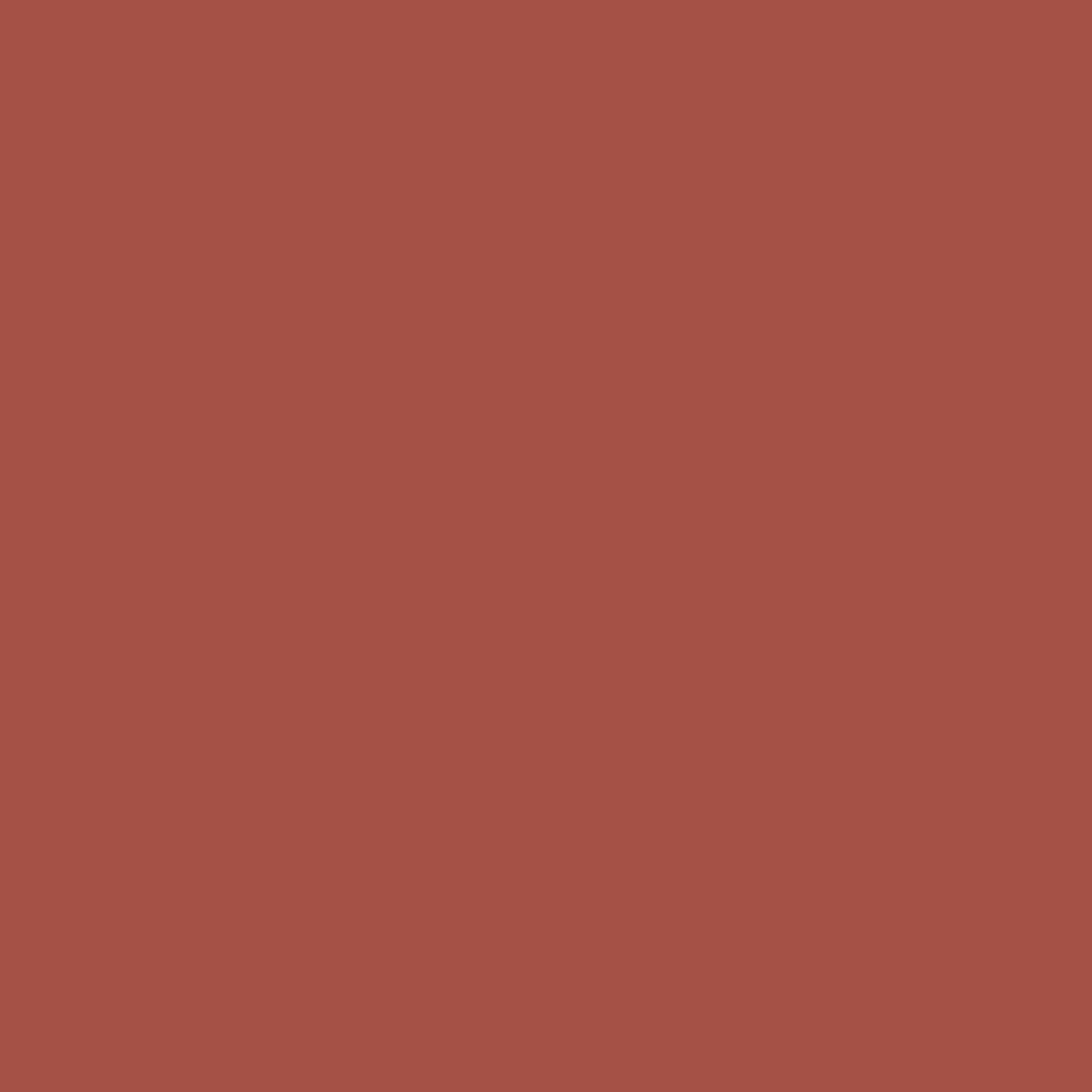 Iwastudio - Home - C COLOR1