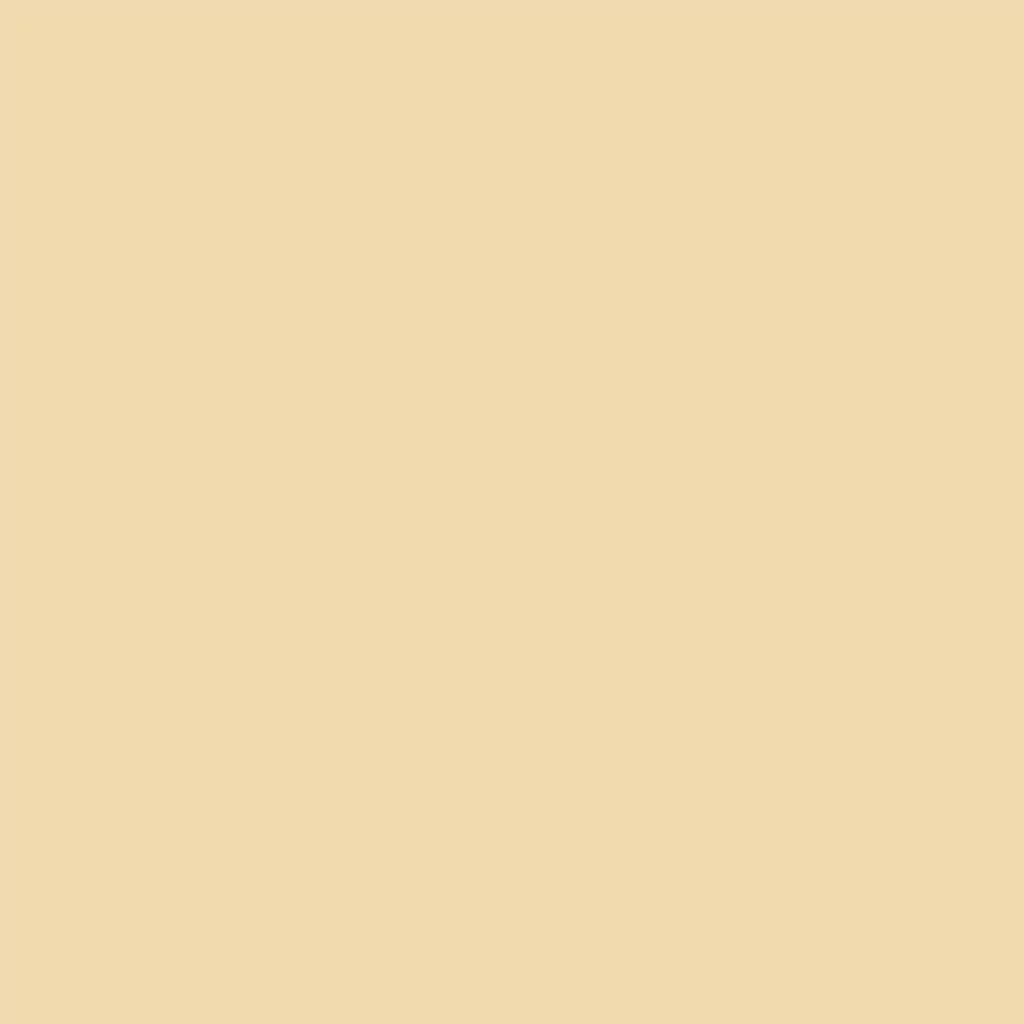 Iwastudio - Home - C COLOR2